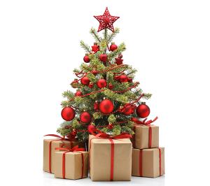 2014 Christmas Holiday Trading Hours