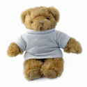 teddy bear with mini t-shirt - medium