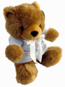 teddy bear with t-shirt - large